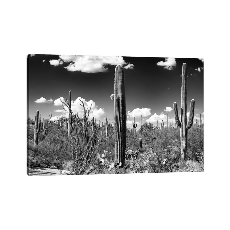 Série noire Arizona - Cactus Saguaro-PHD1475, H 26 po x l 40 po x 1,5 po