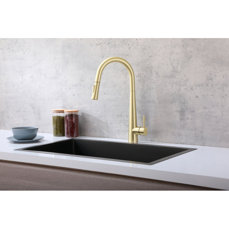 Elegant Home Living Lucas Pull Down Spray Kitchen Faucet, Brushed Gold