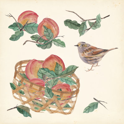 Basket With Fruit II by Melissa Wang - Wrapped Canvas Painting