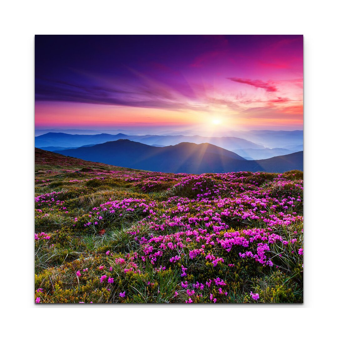 Leinwandbild Pinke Rhododendronwiese in den Karpaten – Ukraine