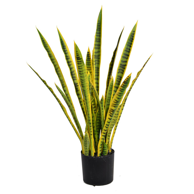 Plantes grasses artificielles en pot 35 po Panama Sansevieria