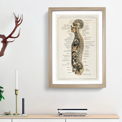 Anatomy Chart in German - Framed Print