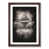 Walnut Framed selected