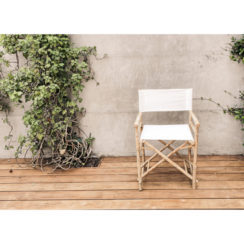 Laseter Folding Director Chair, Bone