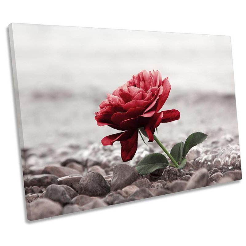 Flower Pebbles Rose - Wrapped Canvas Print, 30.5cm H x 45.7cm W 