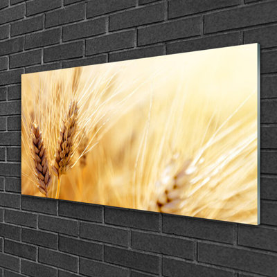 Glass Print Wall Art 100X50cm Image Printed On Glass Decorative Wall Picture Behind Toughened / Tempered Safety Real Glass For Kitchen & Living Room Theme: Wheat Floral