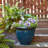 Pot Planter