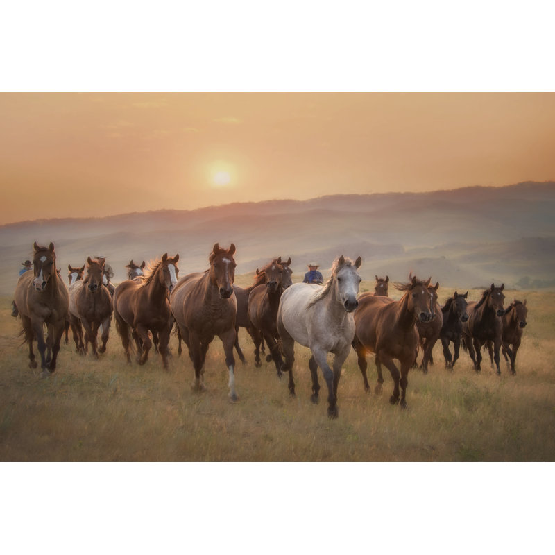 Sunkissed Horses II 1 Piece Wrapped Canvas Wall Art, 51cm H x 76cm W x 3.8cm D