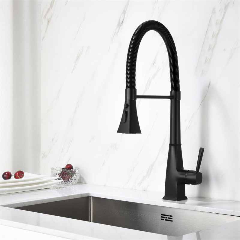 Robinet de cuisine avec douchette extractible