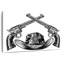 Sheriff Hat and Pistols-2106798802