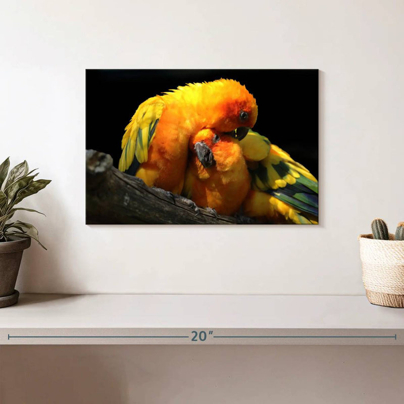 Crowle Perched Parrot Pair, 8" H x 12" W