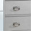 Elegant Contemporary Storage Chest