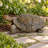 Walking Tortoise Garden Statue