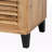15 Pair Shoe Storage Cabinet
