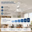 Alisha-Ann 75cm Ceiling Fan with Light Kit-874699850