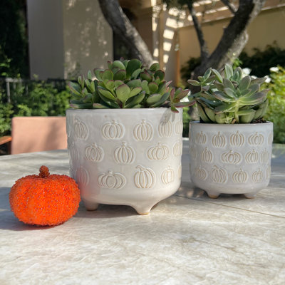 Egehan Ceramic Pot Planter