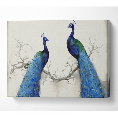 The Peacock Duo - Wrapped Canvas Print