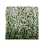 Vase de table 19,7 po Chessher-1551757436
