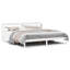 Aleida Solid Wood Storage Bed-1897088898-1897088899