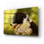 «Border Collie Garden» par John Silver-1456637451
