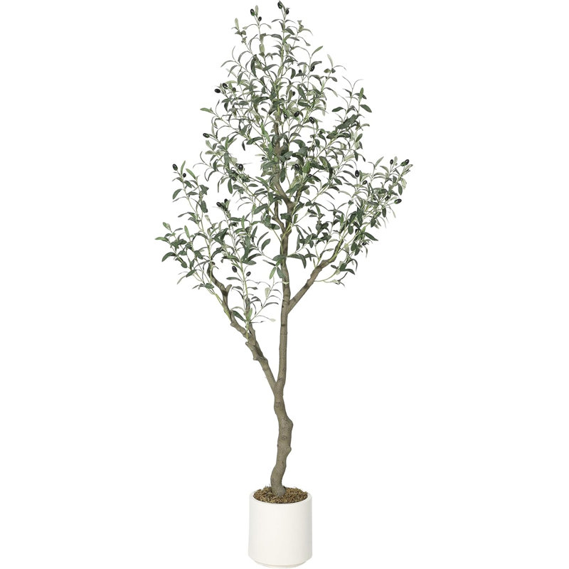 183cm Plant, 183 cm x 22 cm