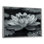 Lotus gris photo élégante silhouette II - décoration murale Lotus