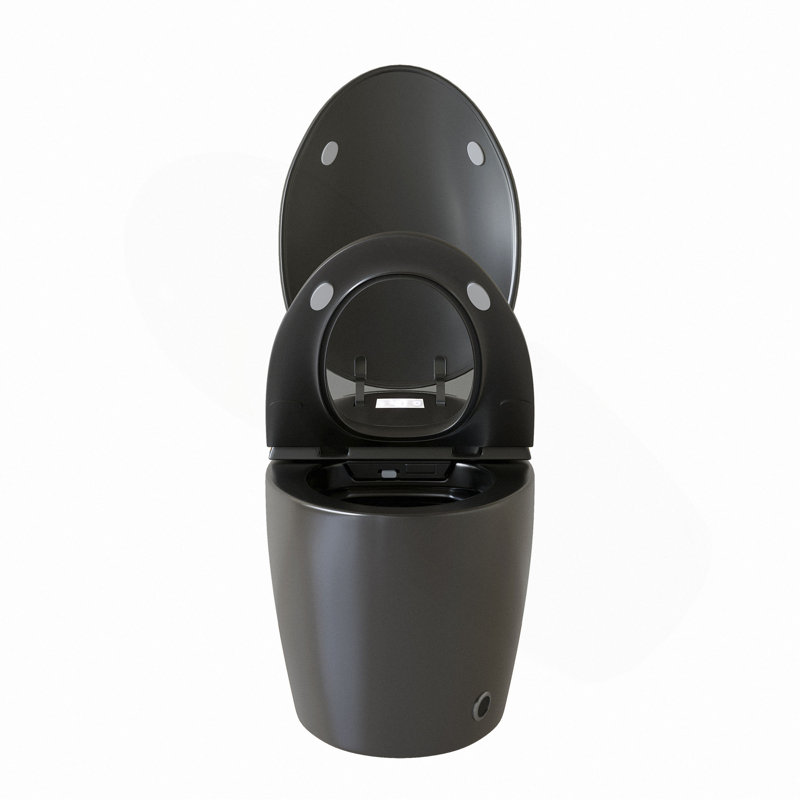 Unique Smart Toile,  One Piece Toilet with Bidet Built In,Auto Open/Close Seat, Foot Sensor, LED Display,Night Light, Warm Water & Dryer