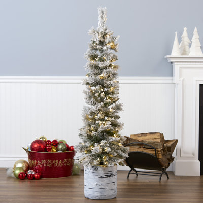 4.5Ft. Snowy Methow Pencil Entrance Tree With LED Lights