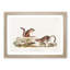 Ground Squirrels by J.W. Audubon - Picture Frame Painting Print-55608850-55608853