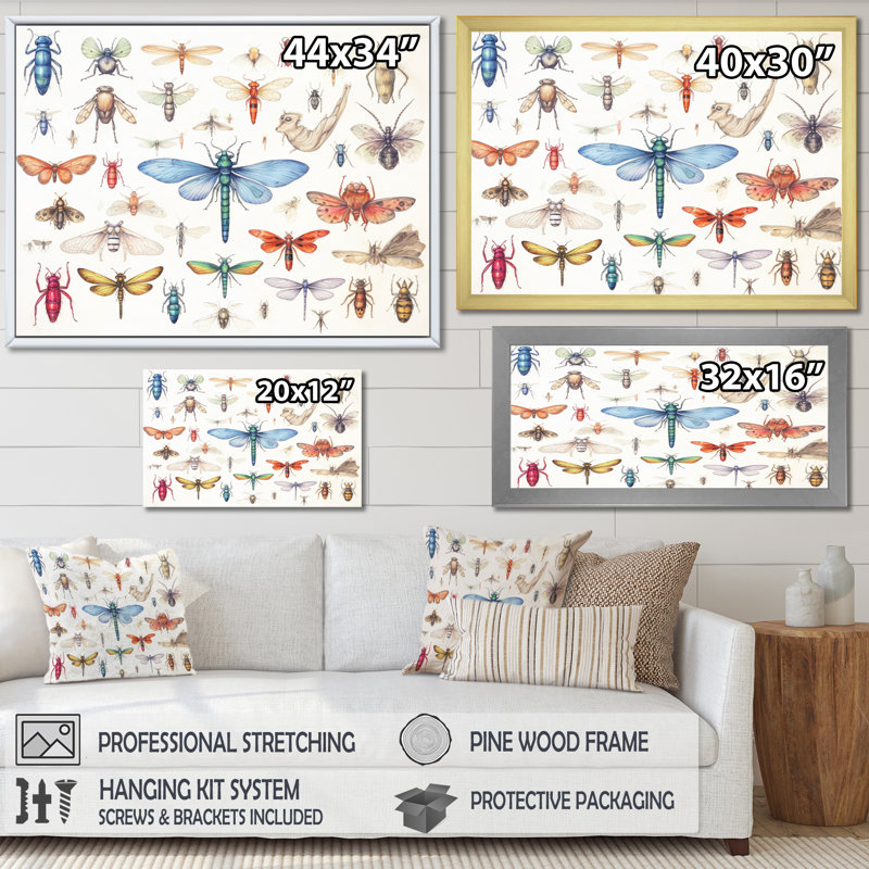 «Tiny Insect Wonders I», reproduction sur toile, Cadre flottant doré, H 34 po x l 44 po x P 1,5 po