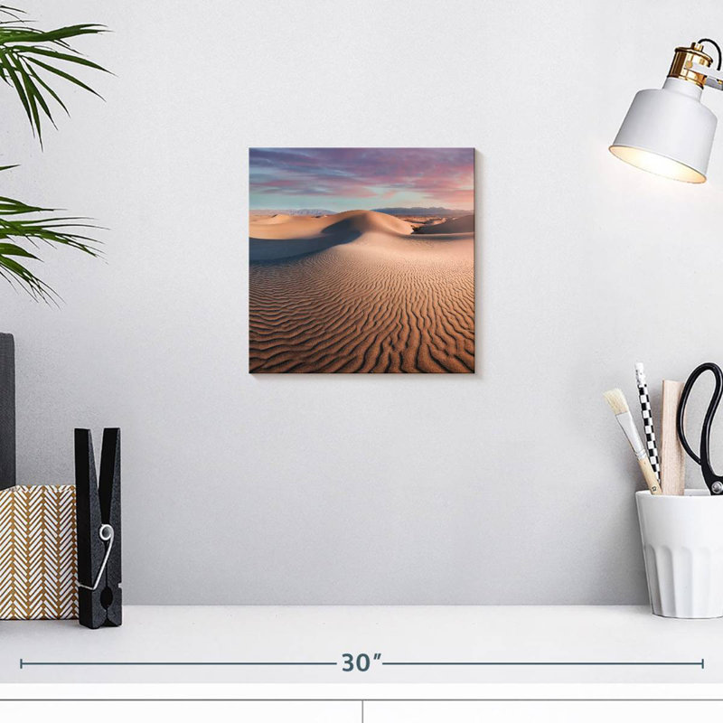 Alvord Mesquite Flat Dunes
