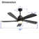 Damecia 52'' Ceiling Fan with LED Lights