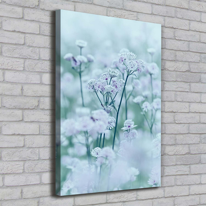 Astrantia - Wrapped Canvas Print