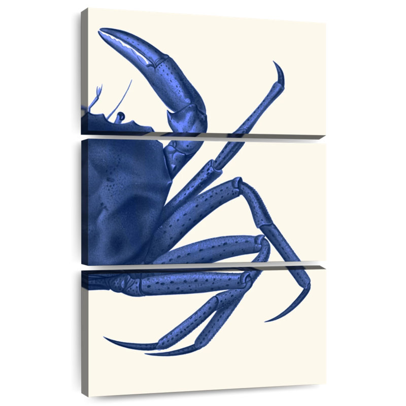 Crabe Brampt contrastant en bleu marine B, H 38 po x l 24 po