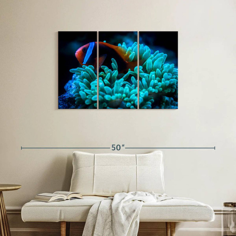 Brampt Tomato Clownfish, 24" H x 38" W