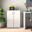 Frieda 2 -Door Storage Cabinet-30735455