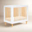 Lolly 4-In-1 Mini Convertible Crib
