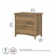 Khadesha 32'' Wide 2 -Drawer File Cabinet