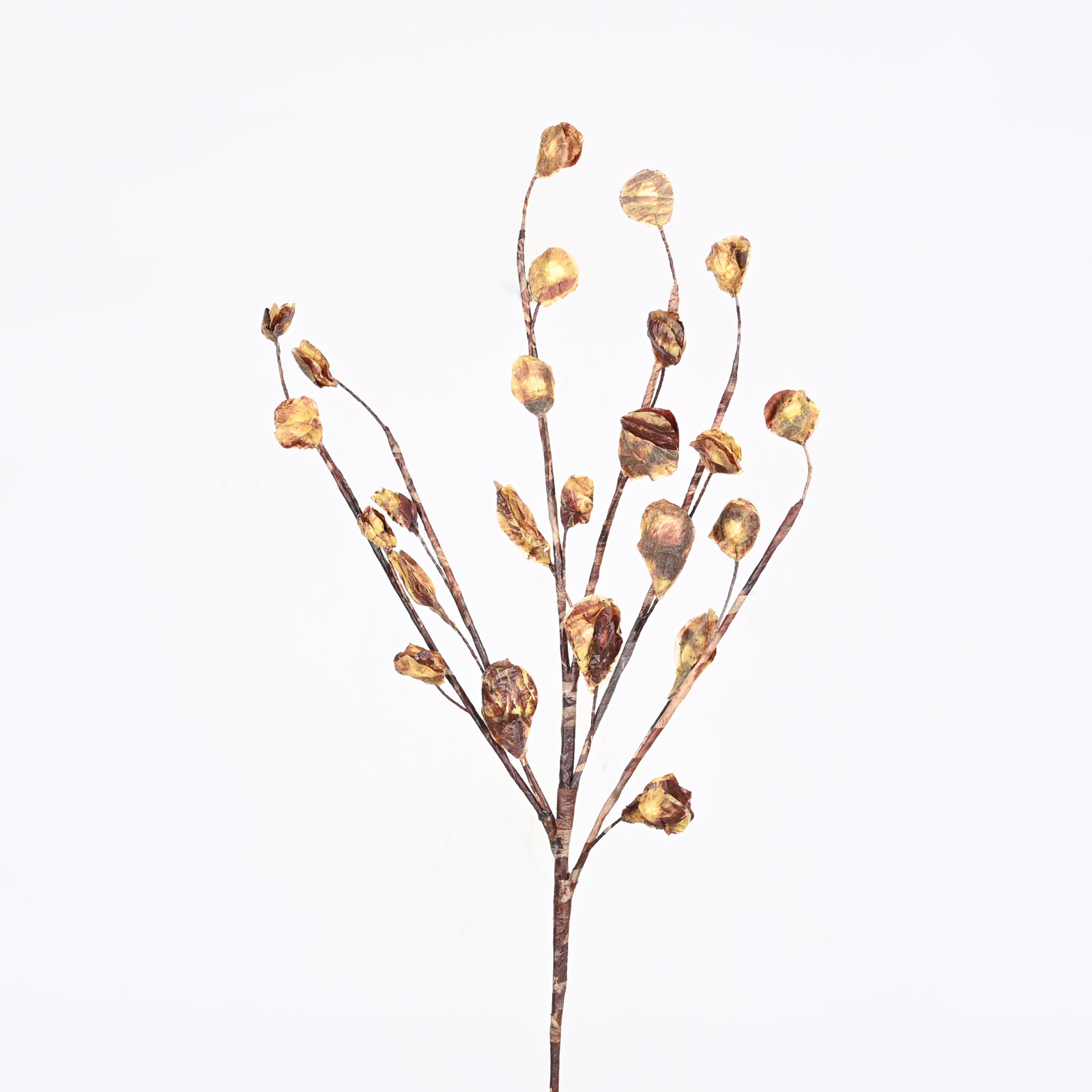 Foliage Blossom Stems, Yellow