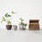 Debossed Stoneware Planter with Pattern and Reactive Glaze