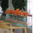 Arrangement in Planter-192753515-192753514