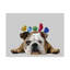 "Bulldog anglais et oiseaux" par Fab funky, reproduction d’art sur toile tendue-1672358329