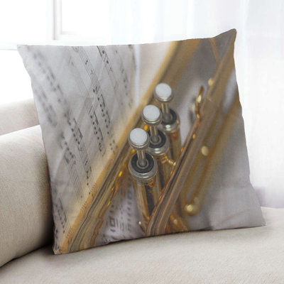 Throw Pillow
