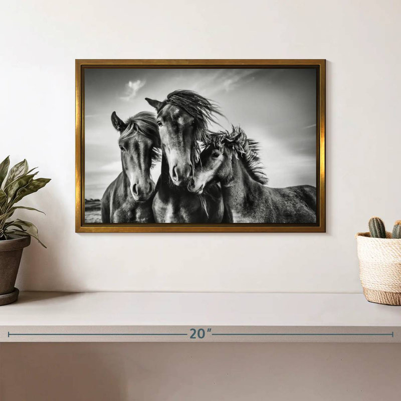 Chevaux Lemvig, Cadre flottant doré, 13 po x 9 po
