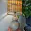Customer photo 5 of 5