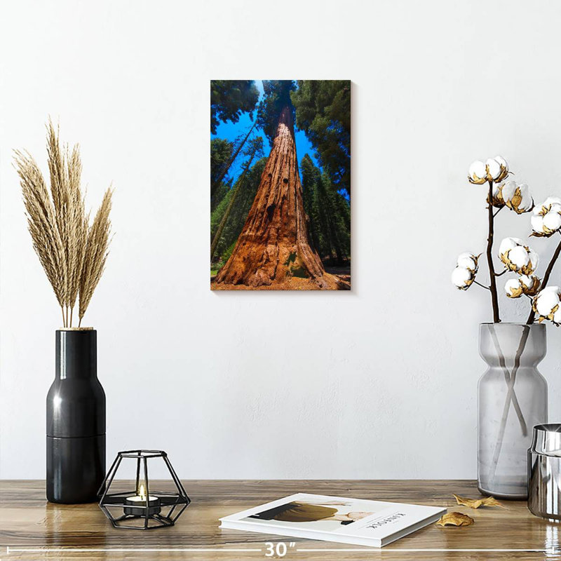 Alvord Towering Sequoia Tree, 12" H x 8" W