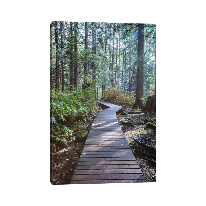 Into The Forest Ii by Matteo Colombo - Wrapped Canvas Print, 20.32 cm H x 30.48 cm W
