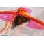 Miss Jones Canvas Print