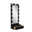 Miroir ELISA-1655742413
