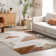 Larentia Transitional Southwestern Fringe Area Rug